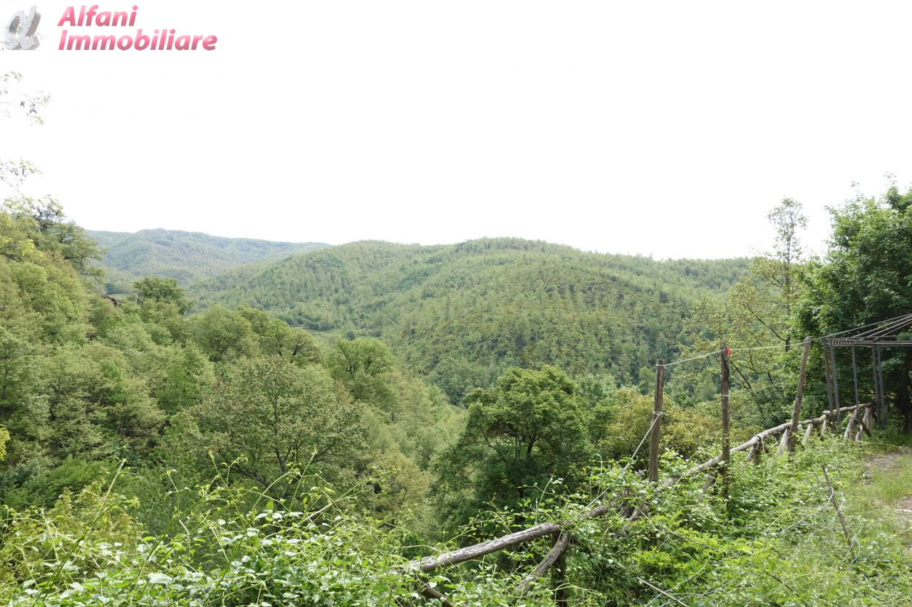 Cascina/Casale/Masseria in vendita a Chiusi della Verna