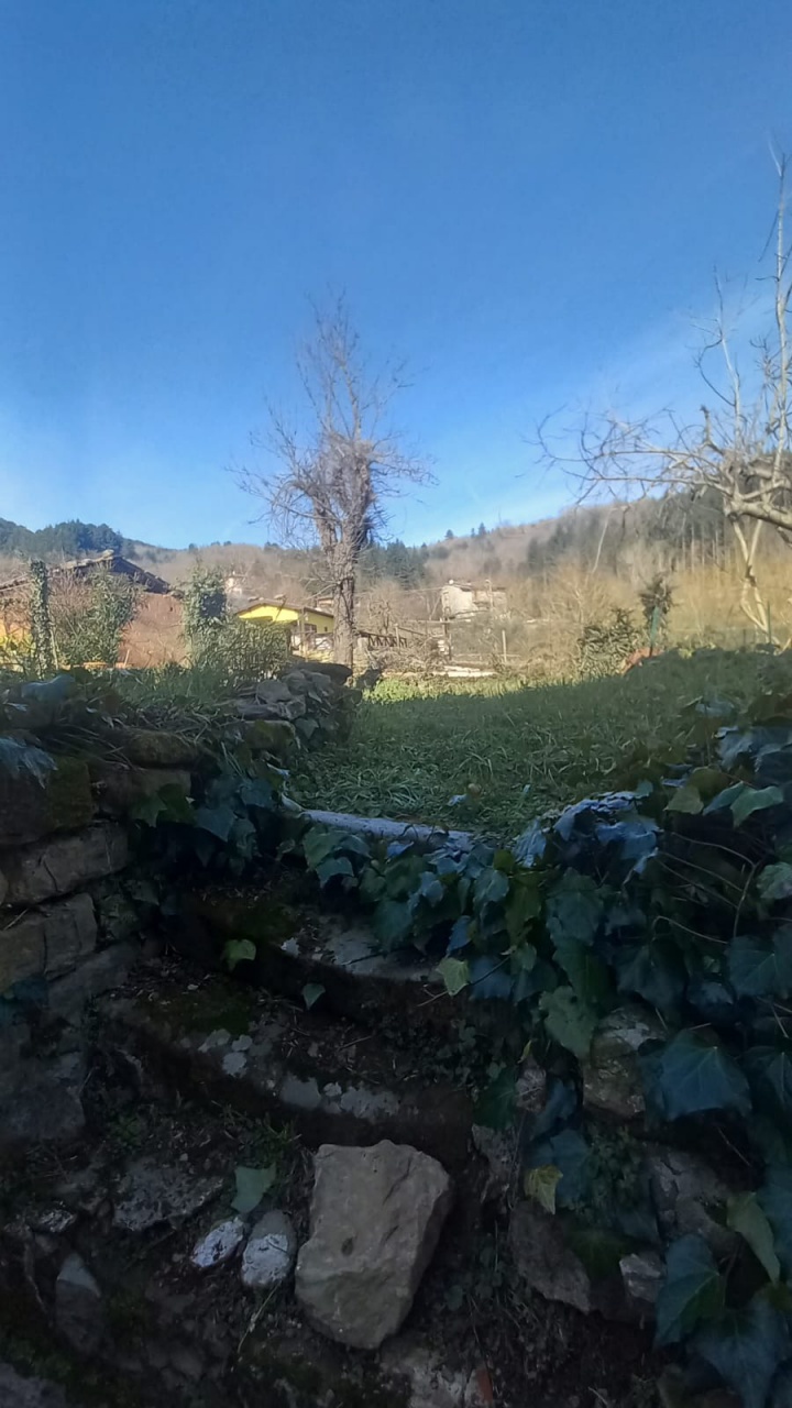 Stabile/Palazzo in vendita a Castel San Niccol