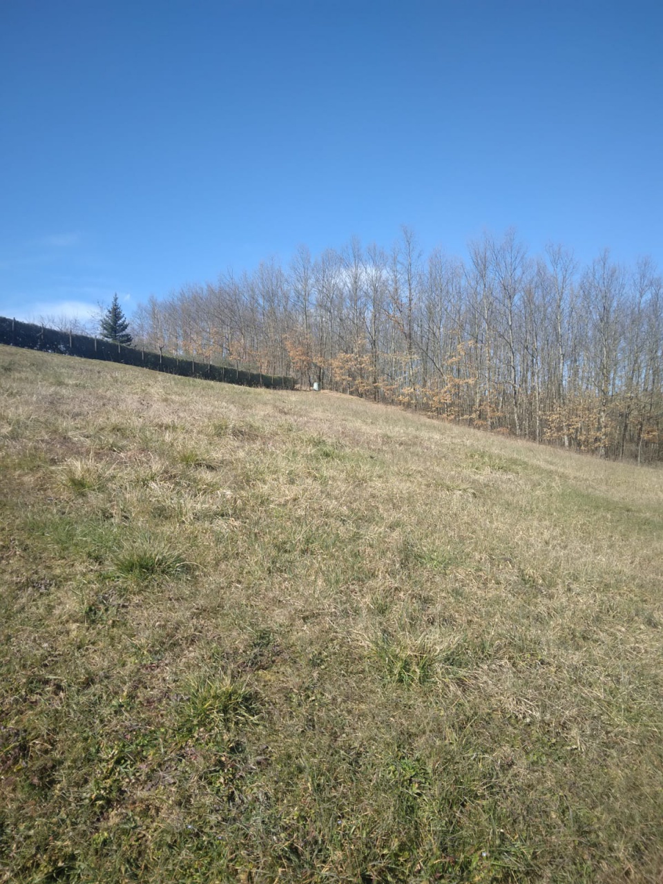 Terreno edificabile in vendita a Bibbiena