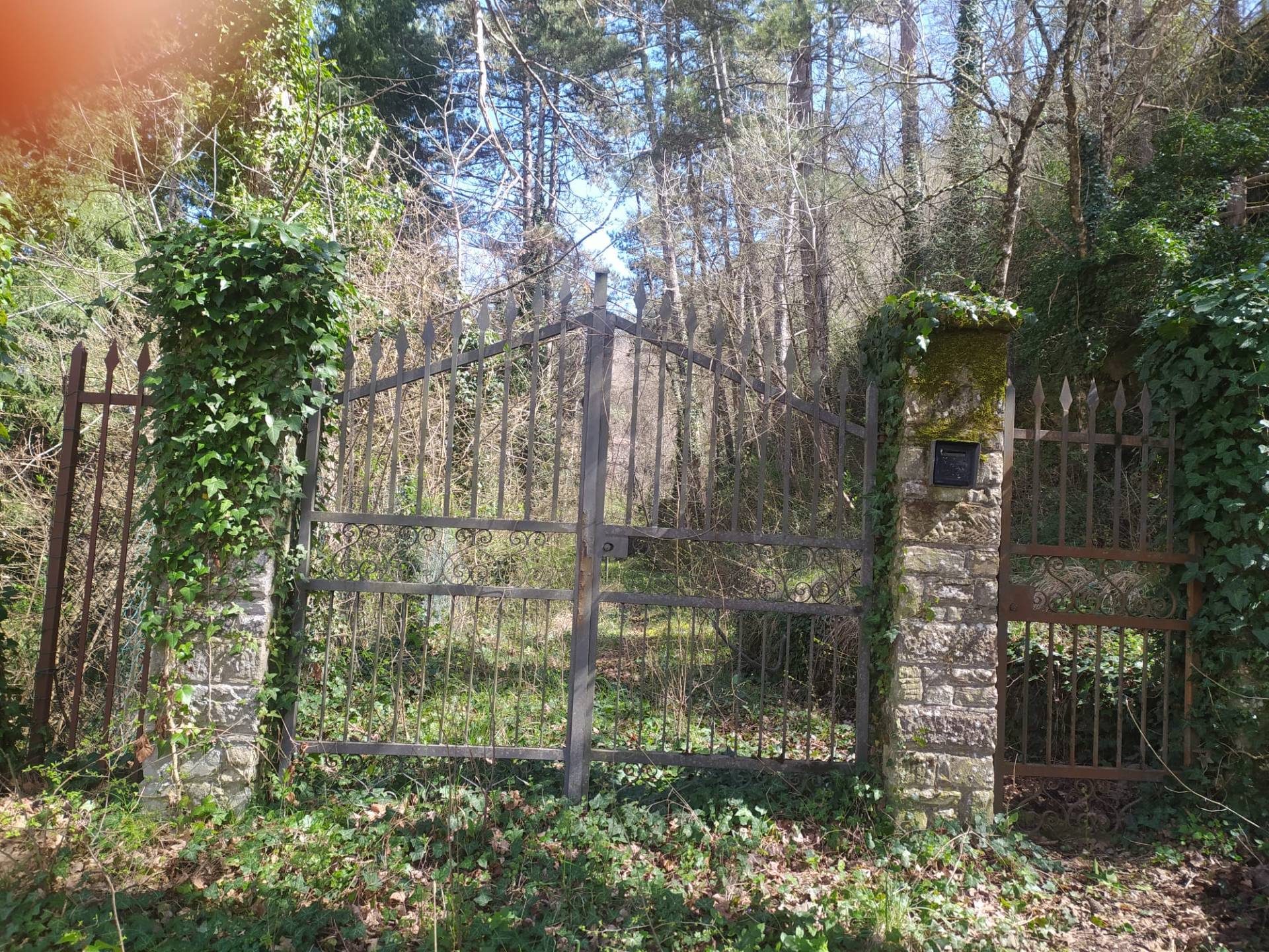 Casa singola in vendita a Castel San Niccol