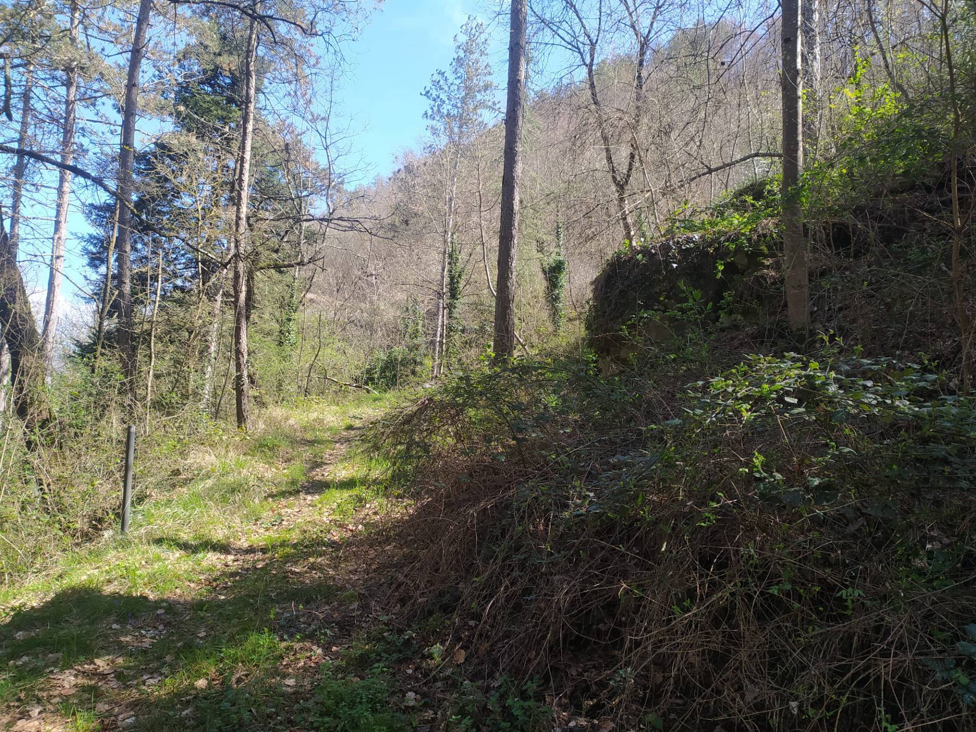 Casa singola in vendita a Castel San Niccol