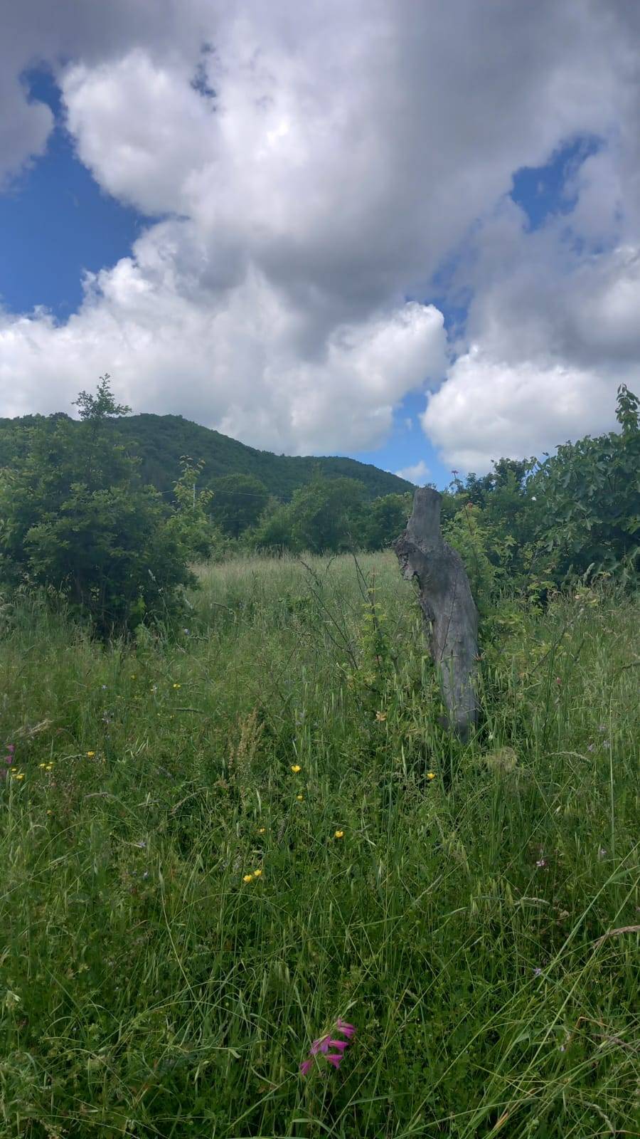 Terreno edificabile in vendita a Poppi