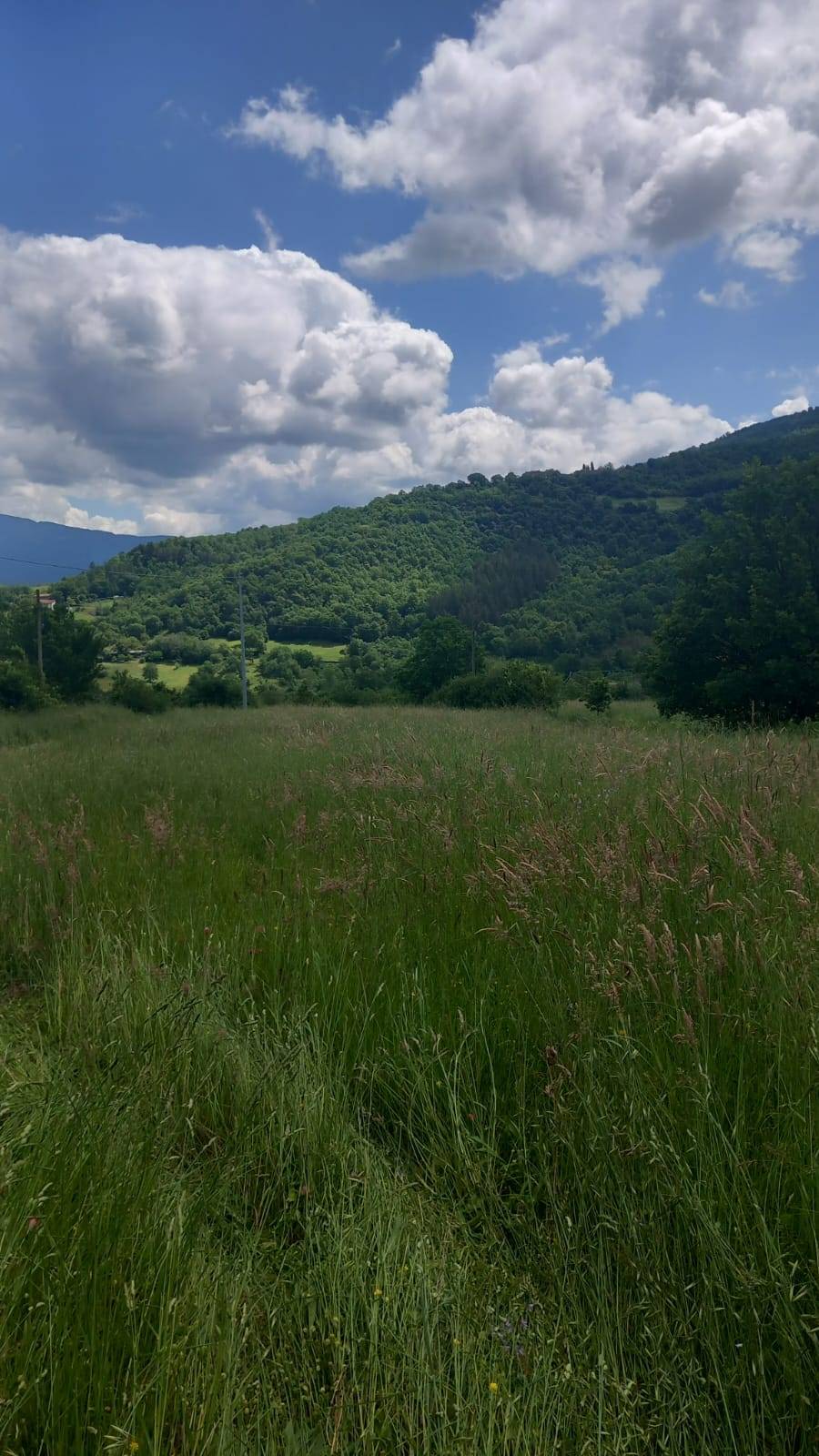 Terreno edificabile in vendita a Poppi