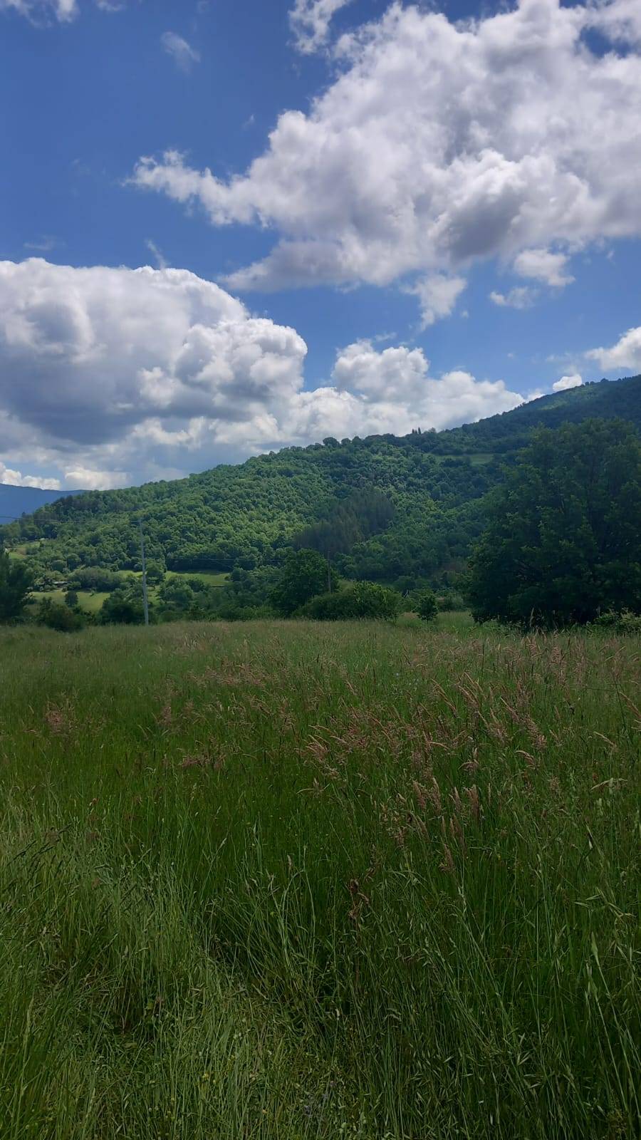 Terreno edificabile in vendita a Poppi