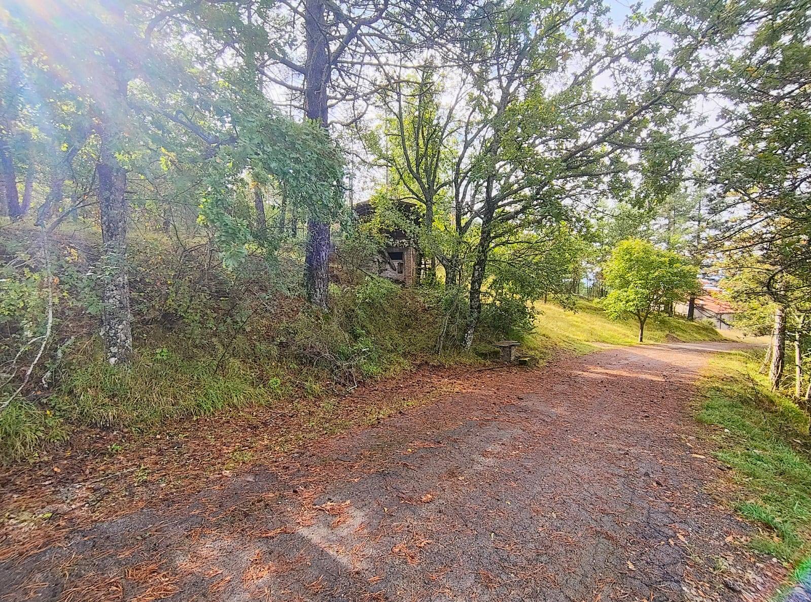 Terreno Agricolo in vendita a Poppi