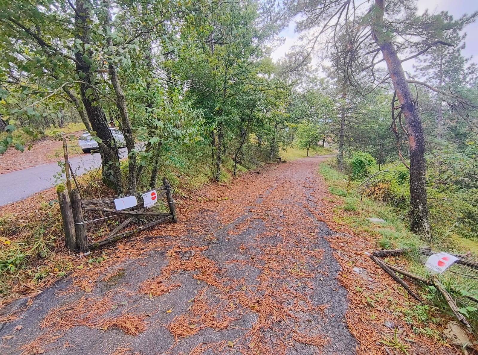 Terreno Agricolo in vendita a Poppi