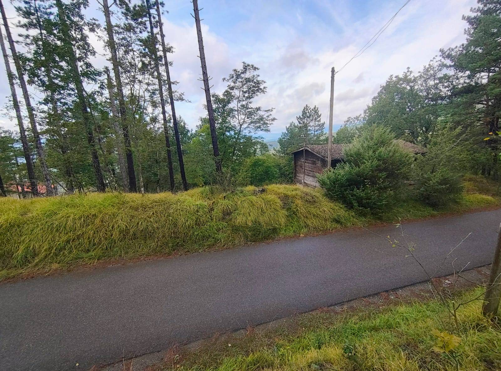 Terreno Agricolo in vendita a Poppi