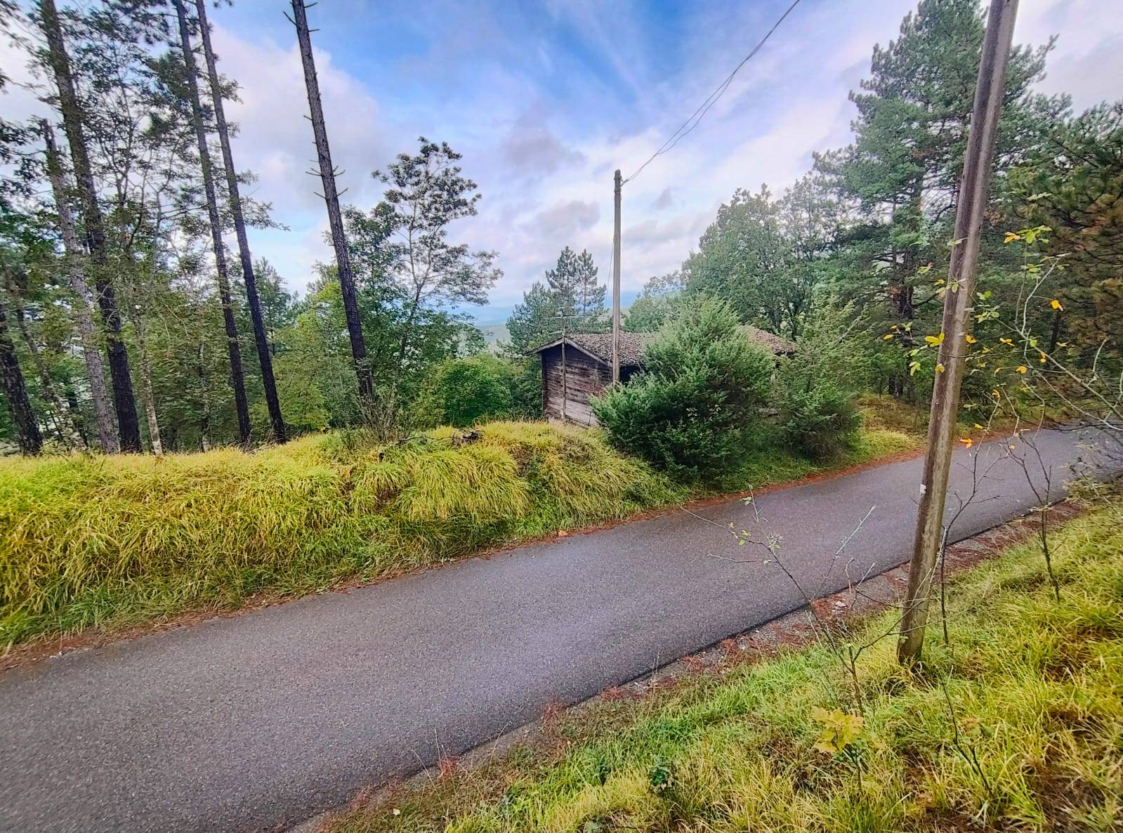Terreno Agricolo in vendita a Poppi