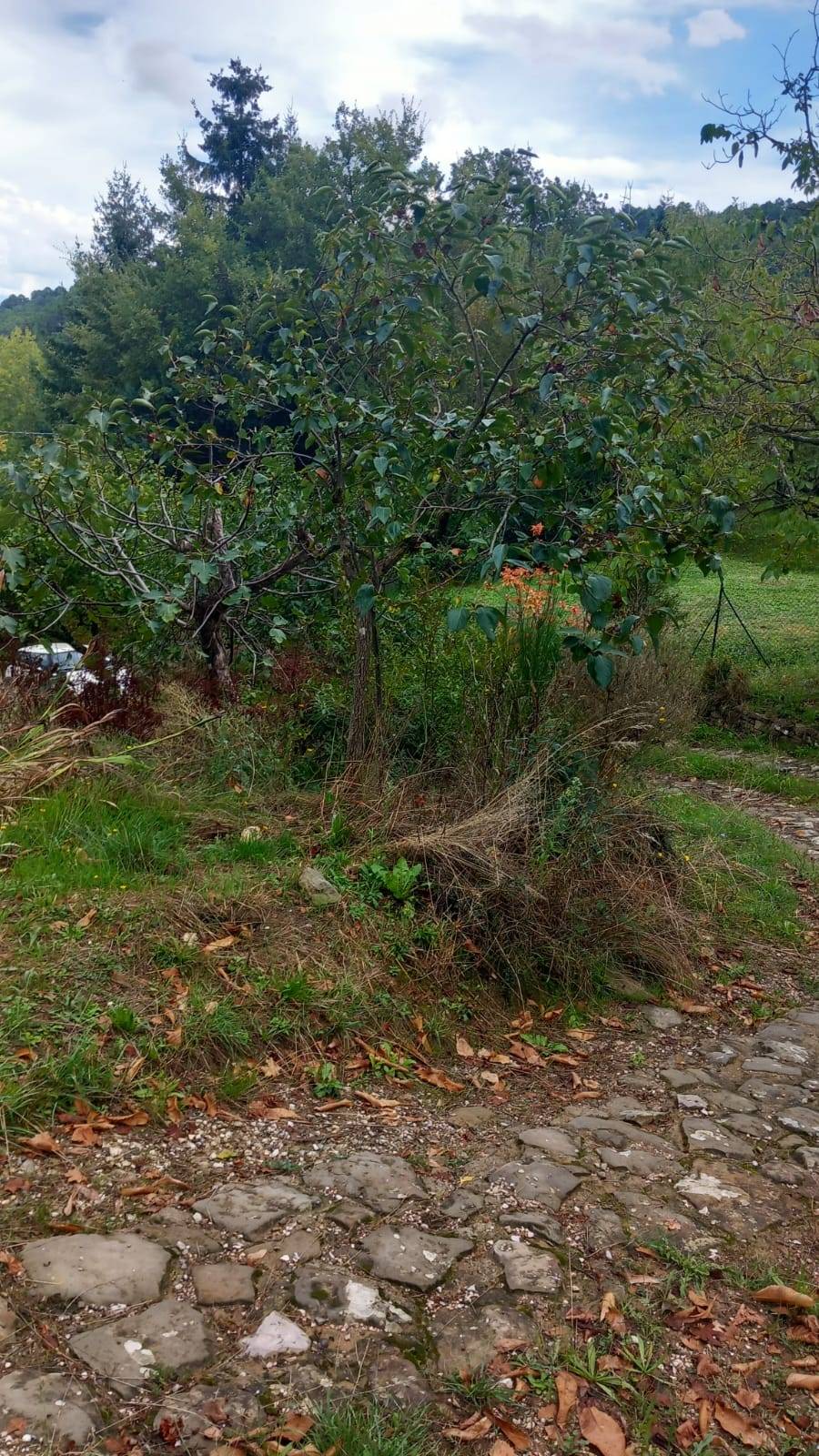 Rustico in vendita a Castel Focognano, Castel Focognano