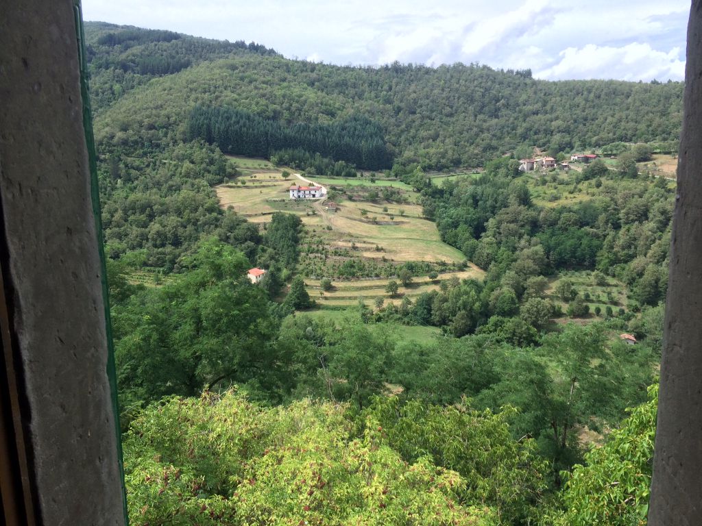 Stabile/Palazzo in vendita a Ortignano Raggiolo