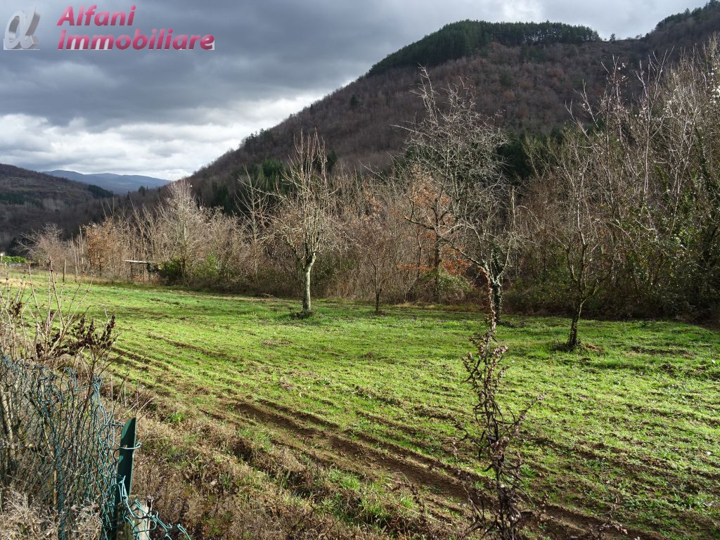 Stabile/Palazzo in vendita a Castel San Niccol