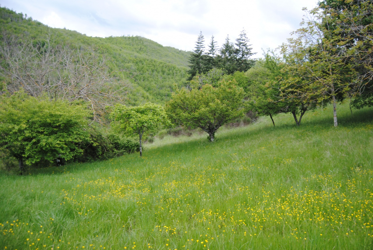 Stabile/Palazzo in vendita a Ortignano Raggiolo