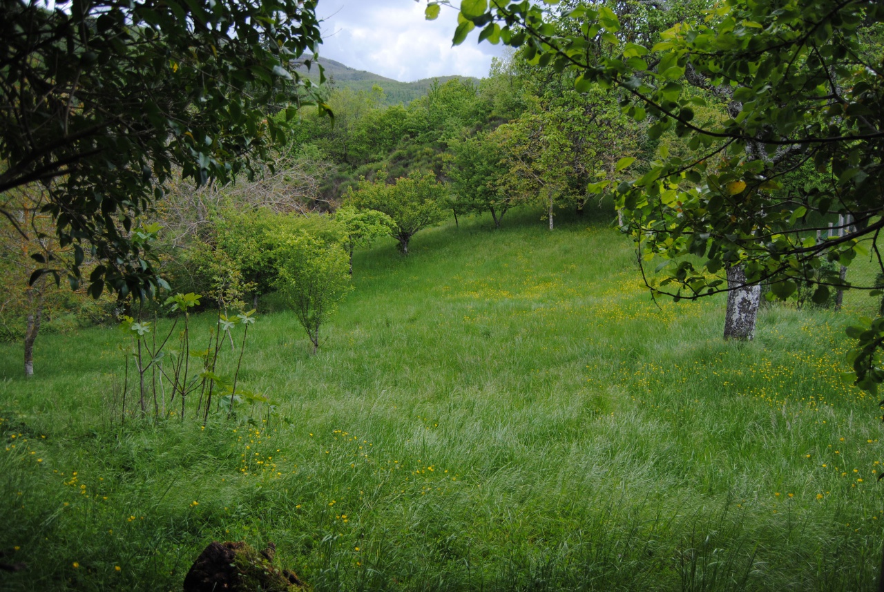 Stabile/Palazzo in vendita a Ortignano Raggiolo
