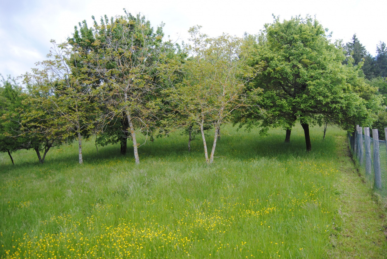 Stabile/Palazzo in vendita a Ortignano Raggiolo