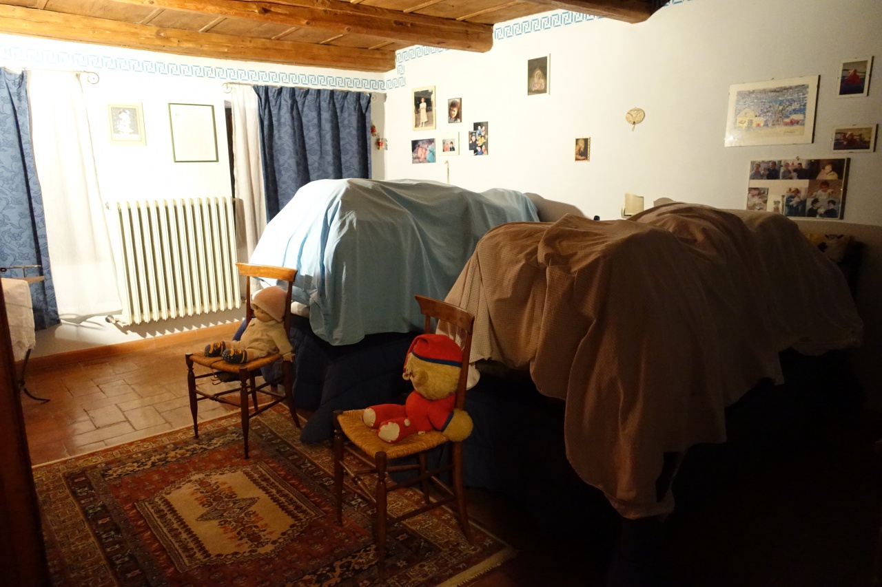 immagine annuncio 1 di 10