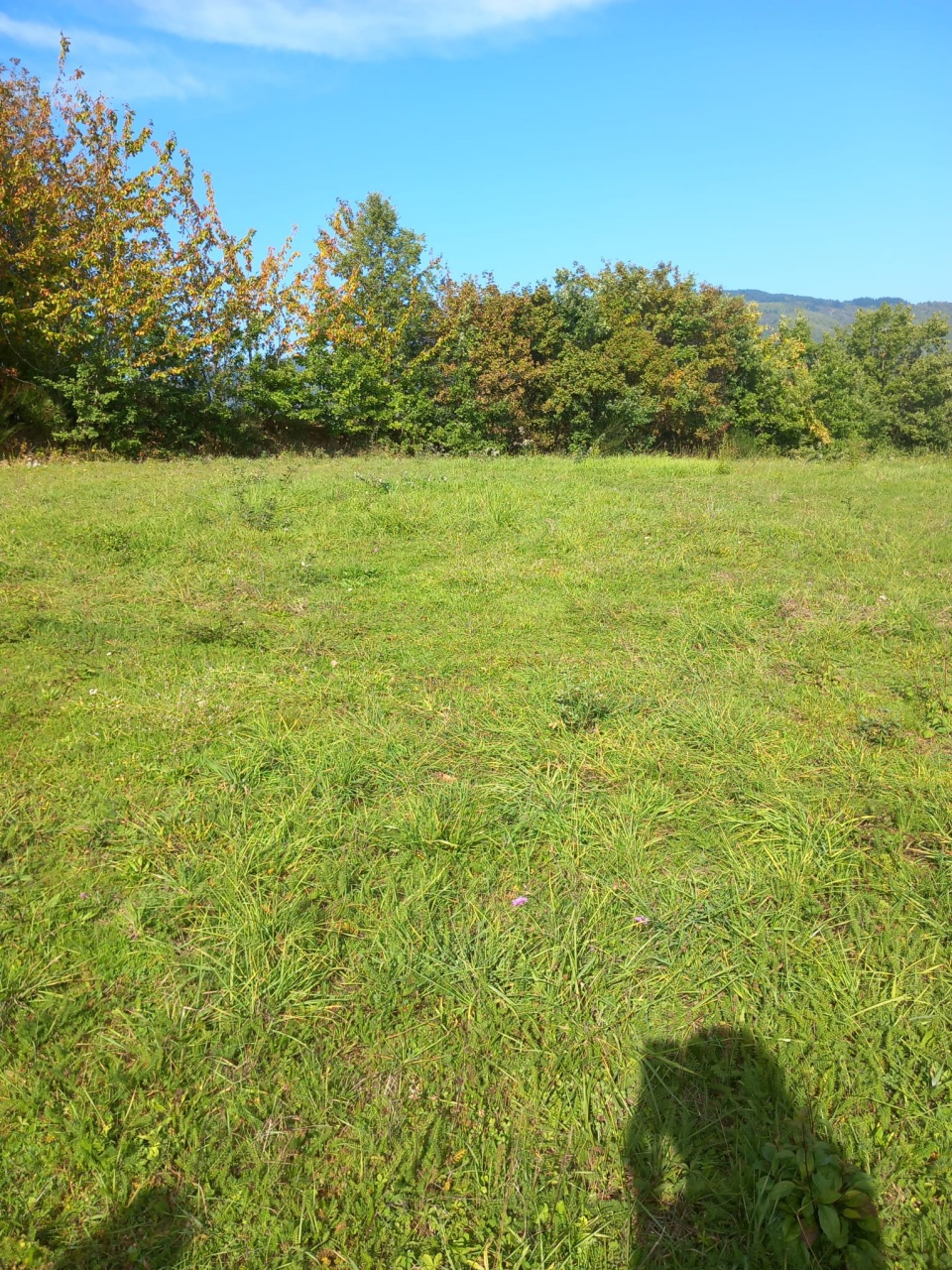 Terreno edificabile in vendita a Talla