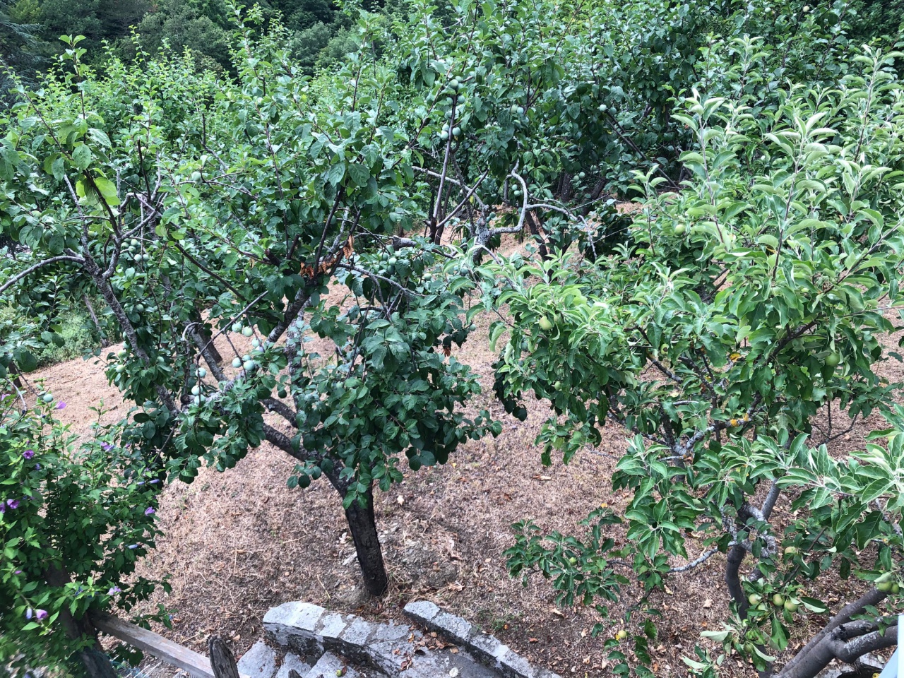 Casa singola in vendita a Bibbiena