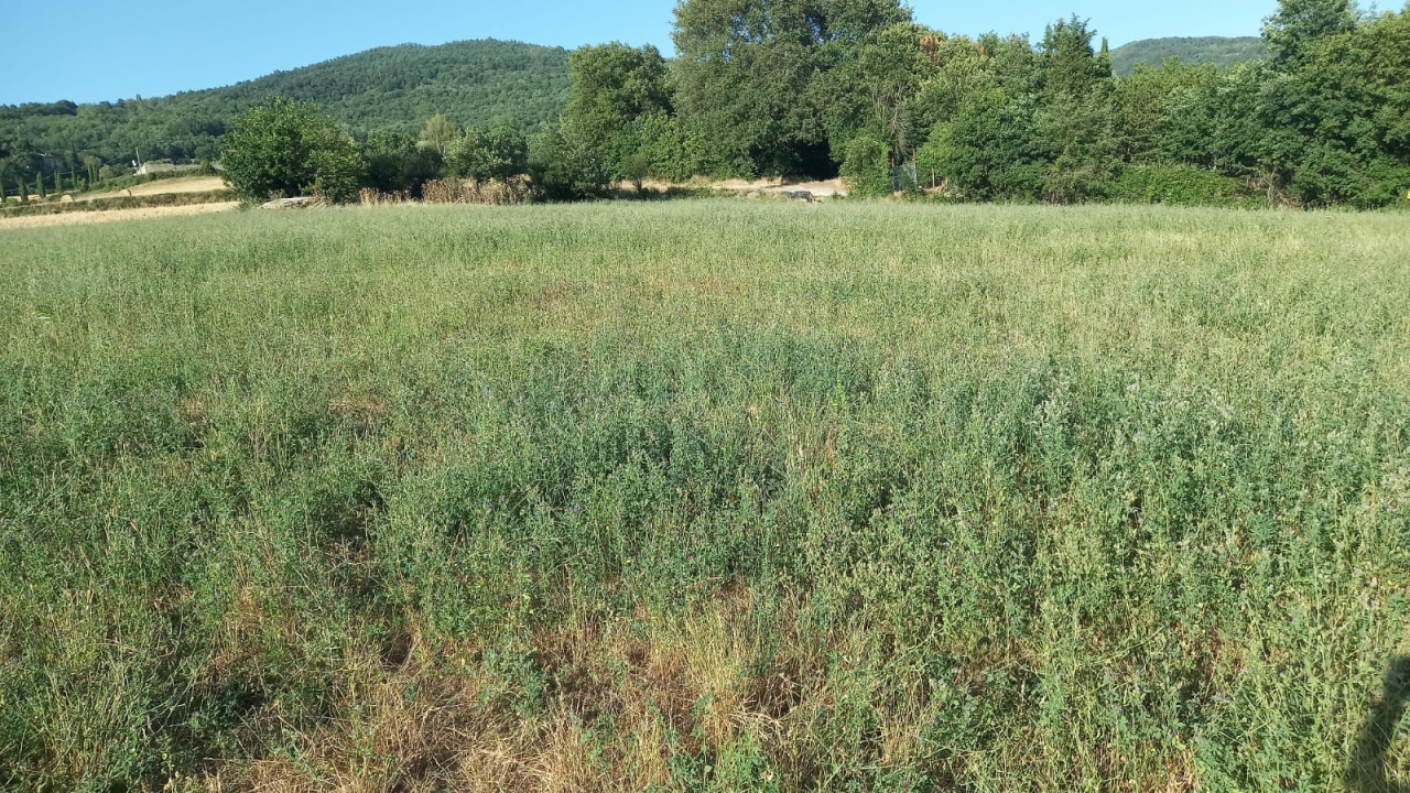 Rustico in vendita a Bibbiena