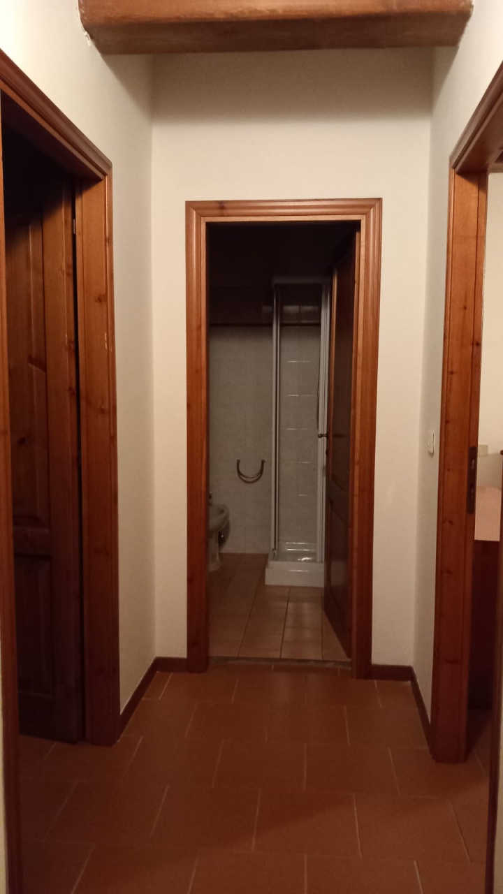 Appartamento indipendente in vendita a Ortignano Raggiolo