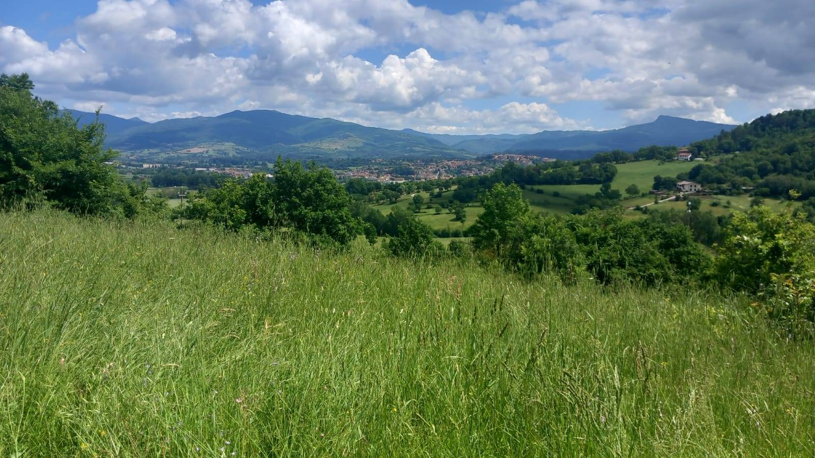 immagine annuncio 2 di 8