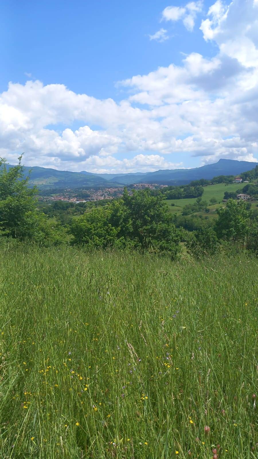 immagine annuncio 5 di 8