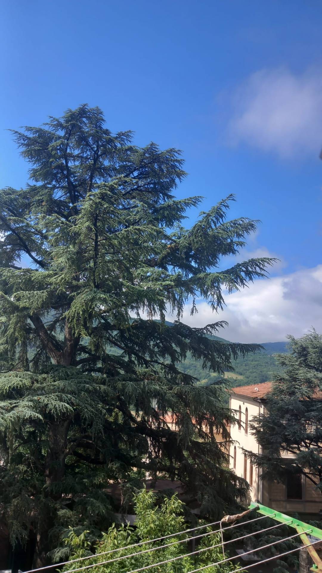 Appartamento in vendita a Bibbiena