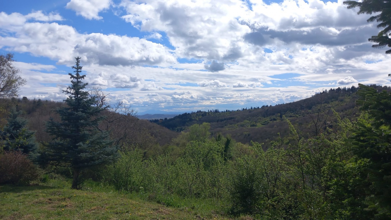 Cascina/Casale/Masseria in vendita a Subbiano
