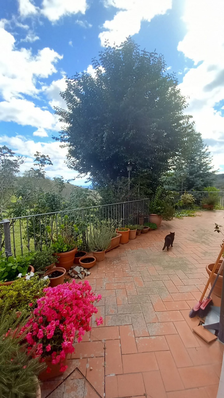 Cascina/Casale/Masseria in vendita a Subbiano