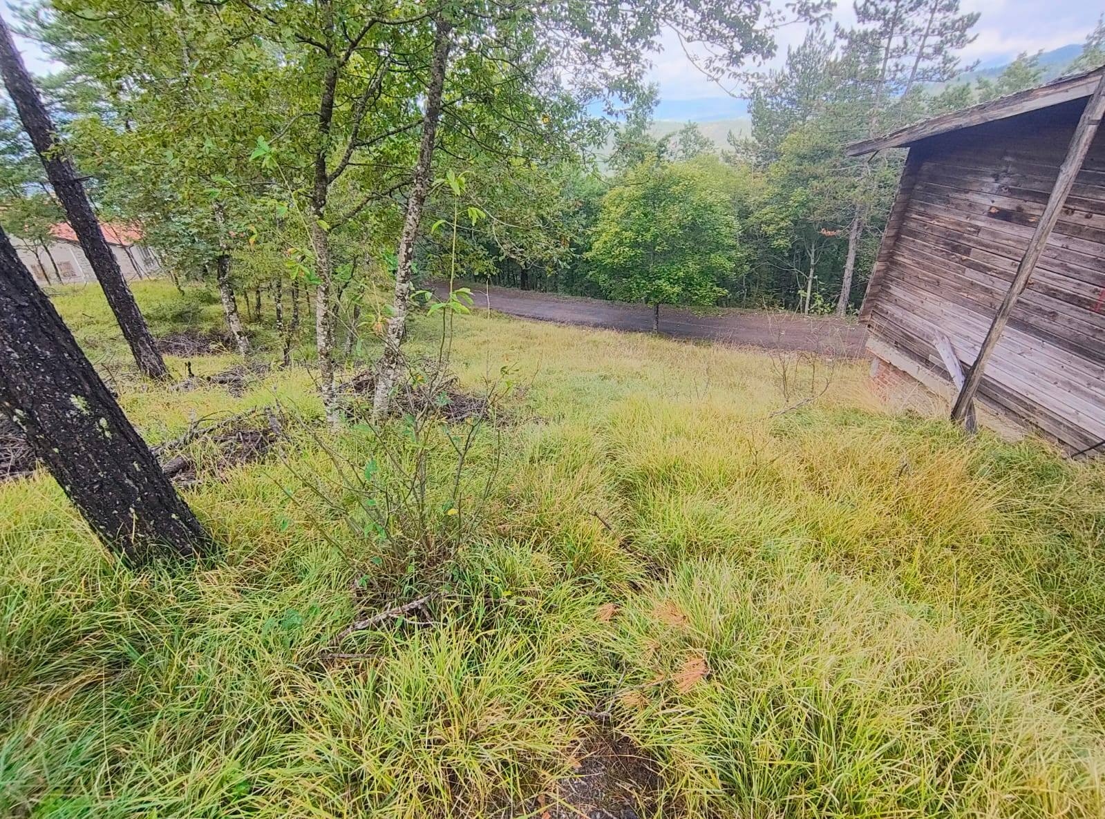 Terreno Agricolo in vendita a Poppi