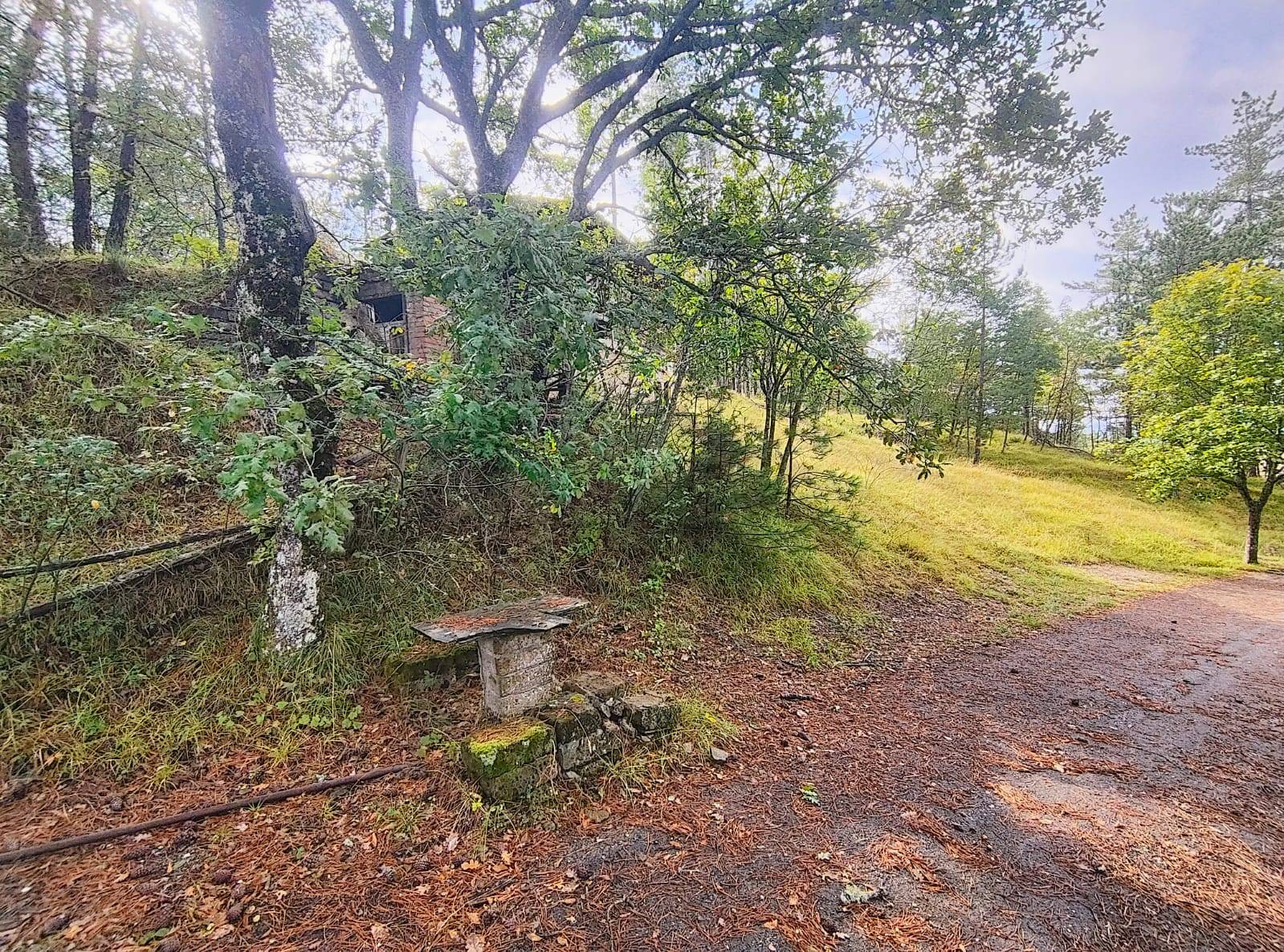Terreno Agricolo in vendita a Poppi