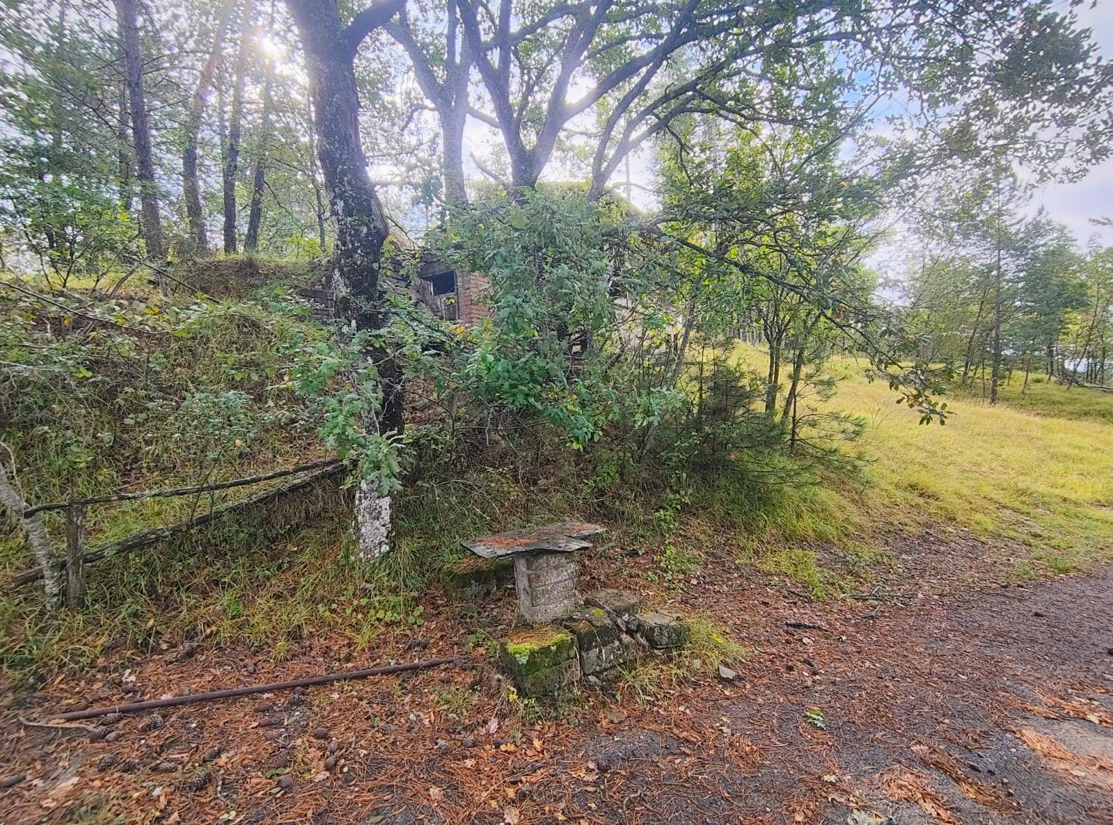 Terreno Agricolo in vendita a Poppi