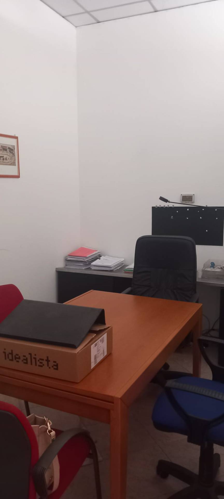 immagine annuncio 3 di 7