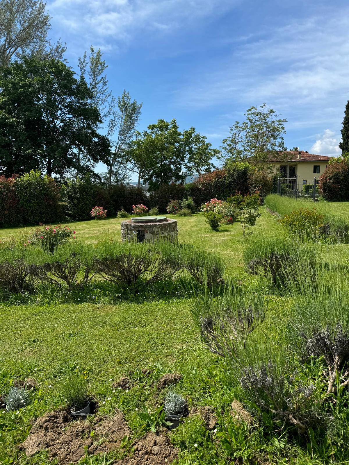Cascina/Casale/Masseria in vendita a Bibbiena, Soci