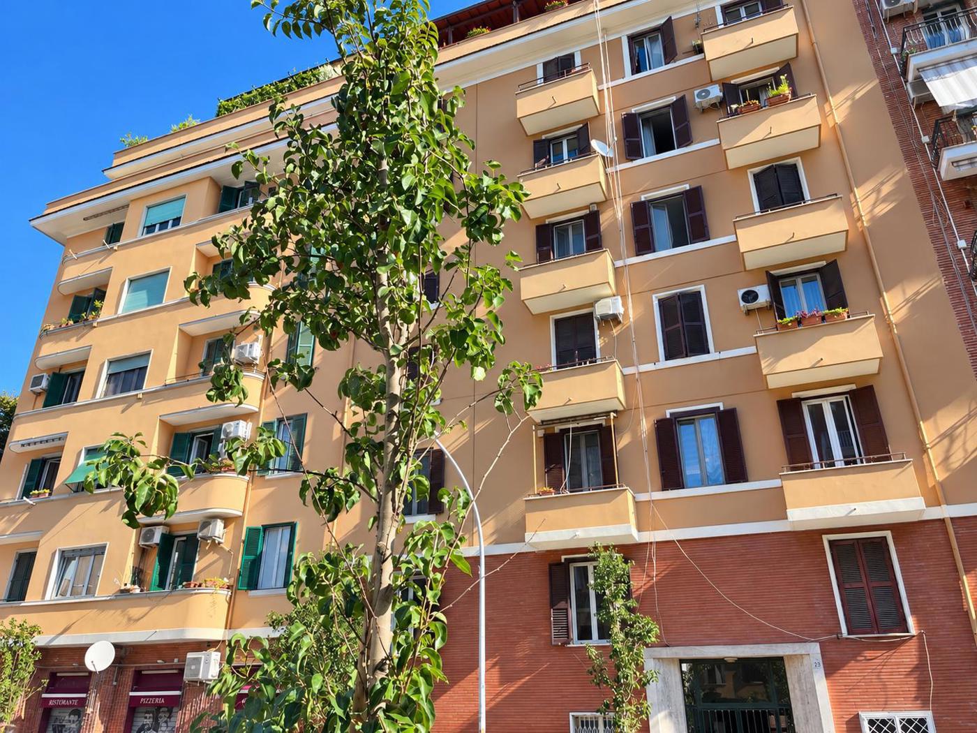 Trilocale in affitto a Roma