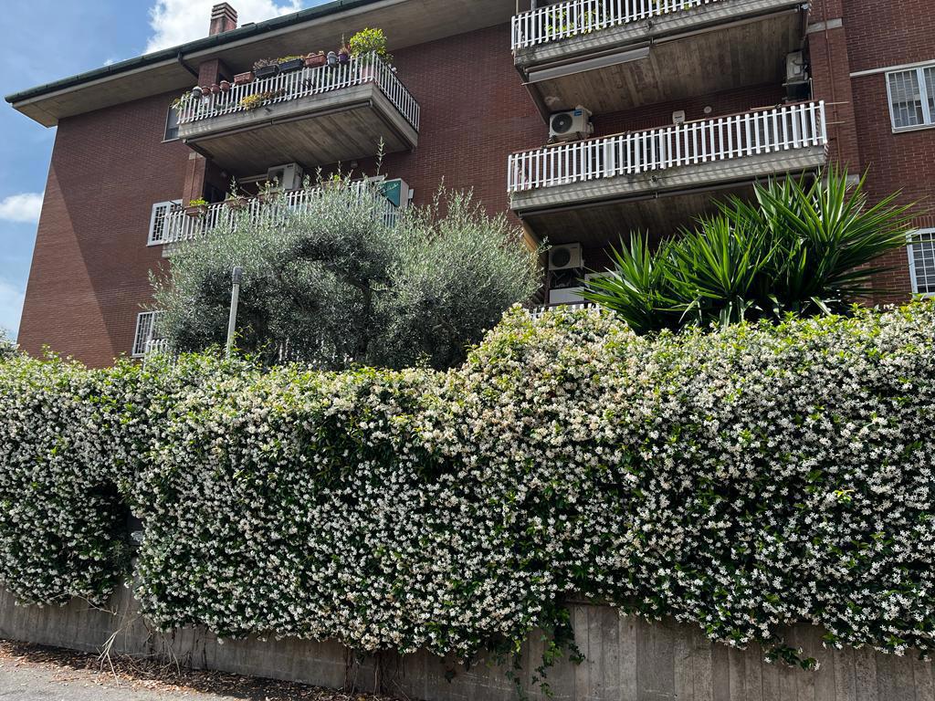 Bilocale arredato in affitto a Roma