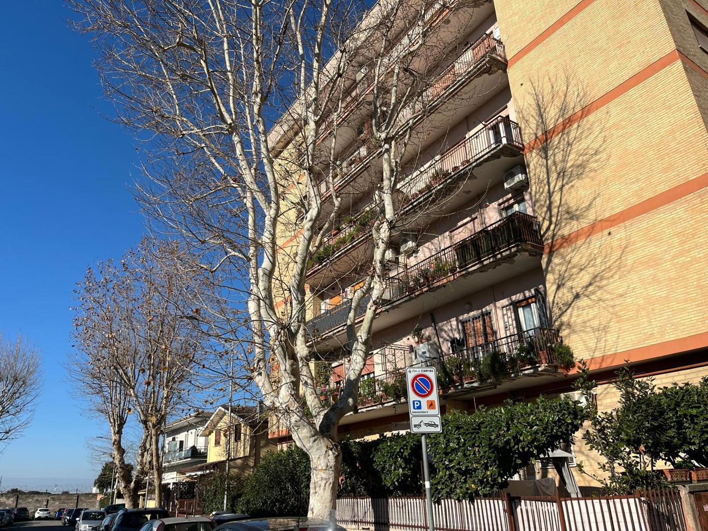 Appartamento – Ciampino, Roma Capitale - Vista 2
