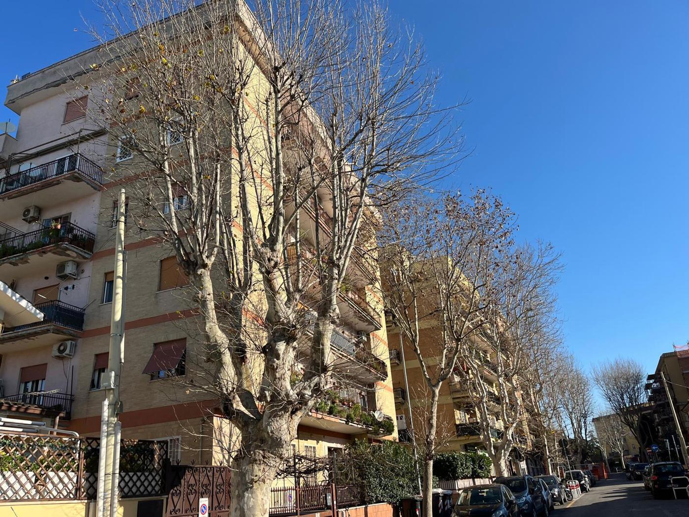 Appartamento – Ciampino, Roma Capitale - Vista 3