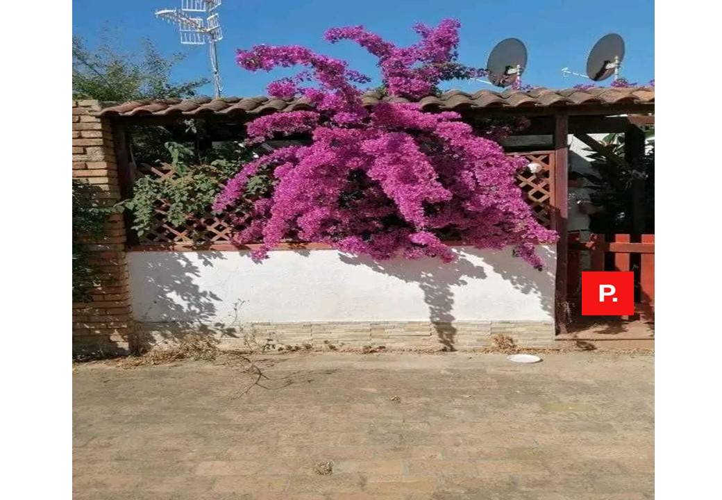 Appartamento in affitto a Sessa Aurunca, Baia Domizia