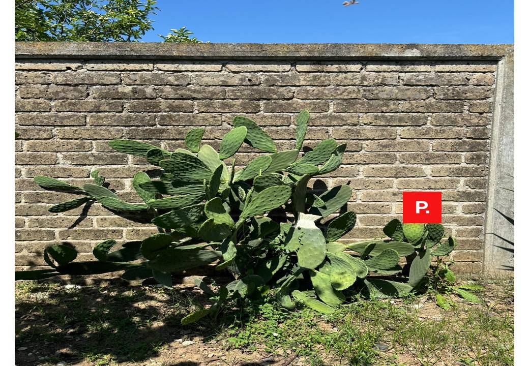 Terreno edificabile in vendita a Capua