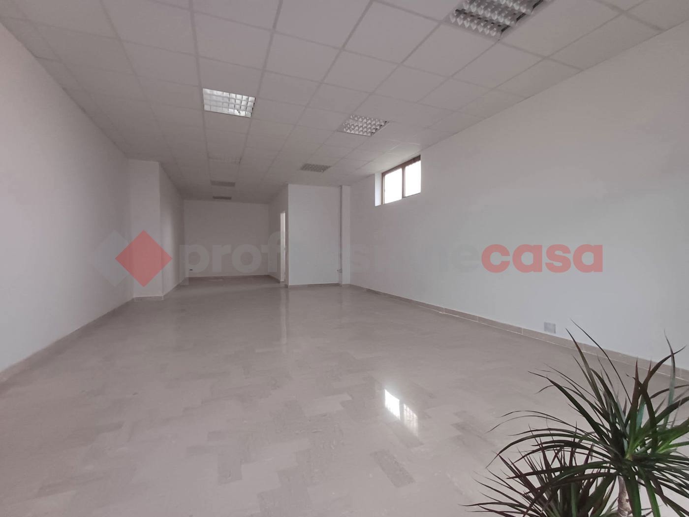 Negozio in affitto a Roccasecca