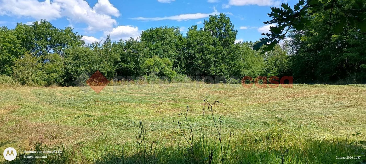 Terreno Agricolo in vendita a Ceprano