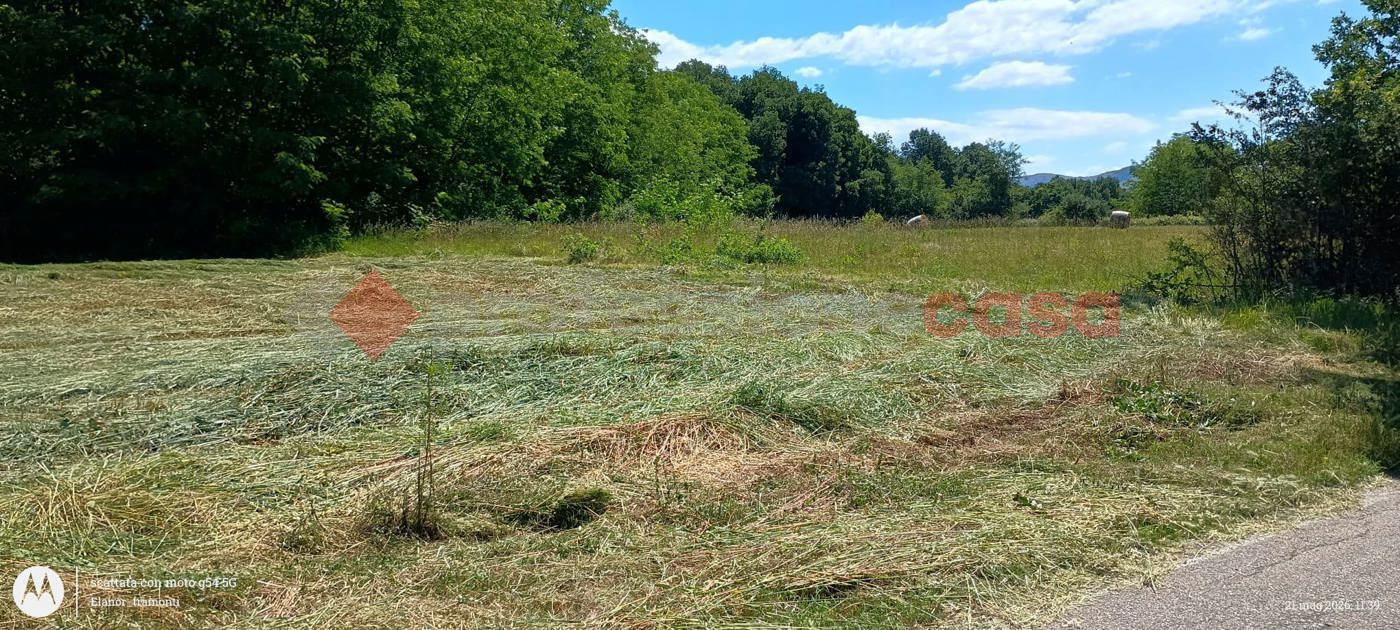Terreno Agricolo in vendita a Ceprano