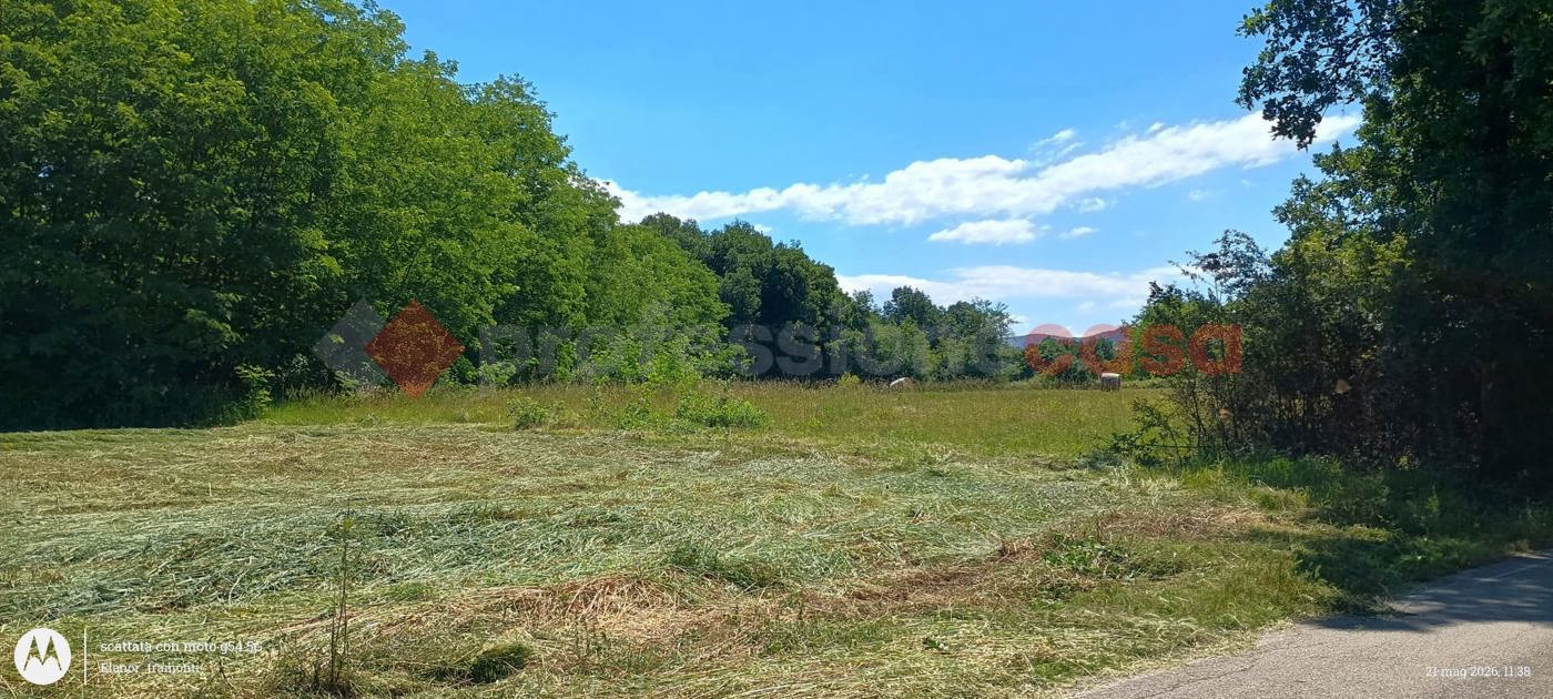 Terreno Agricolo in vendita a Ceprano
