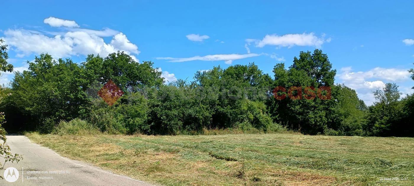 Terreno Agricolo in vendita a Ceprano