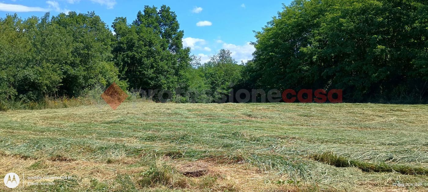 Terreno Agricolo in vendita a Ceprano