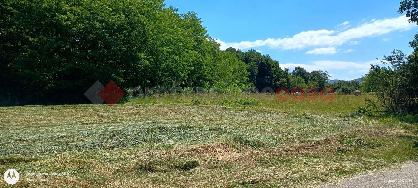 Terreno Agricolo in vendita a Ceprano