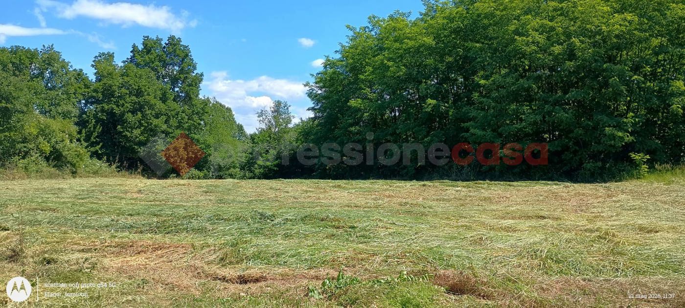 Terreno Agricolo in vendita a Ceprano