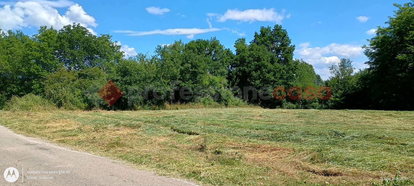 Terreno Agricolo in vendita a Ceprano