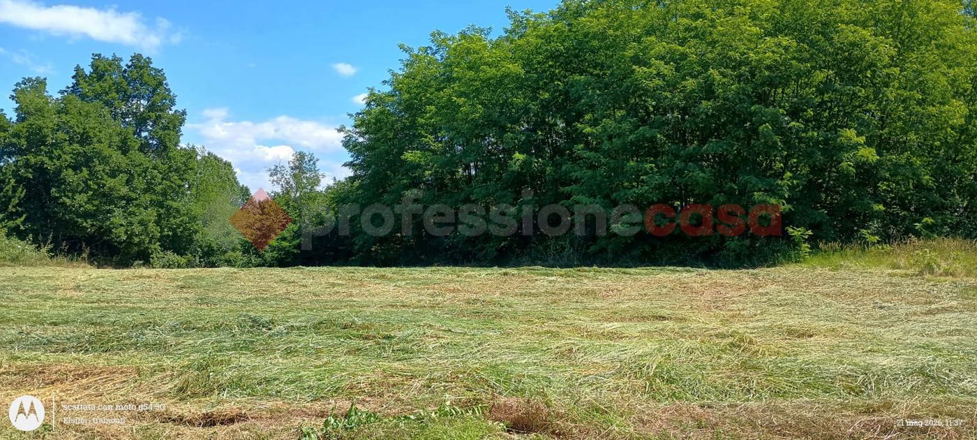 Terreno Agricolo in vendita a Ceprano