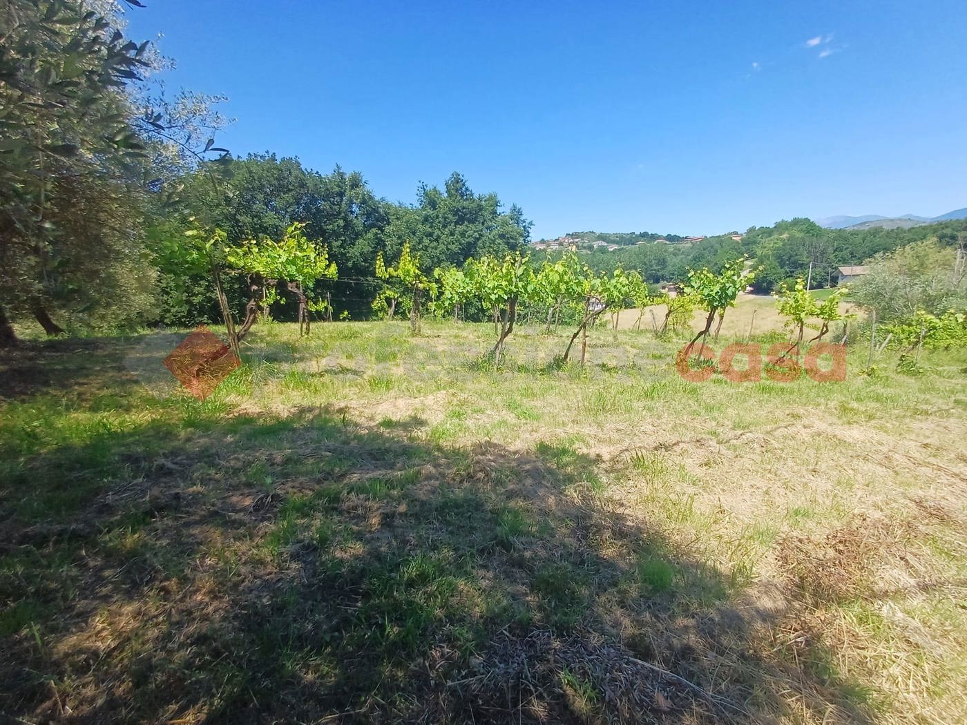 Terreno Edificabile in vendita a Strangolagalli